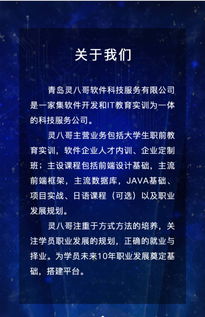 灵八哥软件科技服务 以卓越信誉引领软件开发与定制，打造高性价比技术解决方案